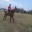  ,   Alimurod, 36 ,   ,   , c 