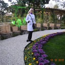  ,   , 56 ,  