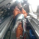 ���������� �����������, ���� ������� ��������, 50 ���, ������������ ��� ����� � ���������, c�������� ���������