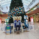 ���������� �������, ���� ������� ��, 57 ���, ������������ ��� ����� � ���������, c�������� ���������