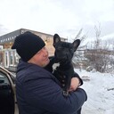 ���������� �������, ���� ������� ���������, 41 ���, ������������ ��� ������, ����� � ���������, c�������� ���������