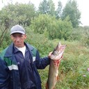  ,   Sfas, 43 ,   ,   