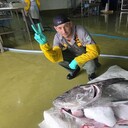  ,   Yury, 39 ,   ,   , c 