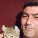  ,   Raqif, 40 ,   ,   
