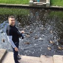  ,   , 39 ,  