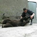 ���������� ���������, ���� ������� Vova, 44 ����, ������������ ��� ������, ����� � ���������, c�������� ���������, ���������