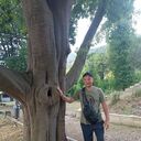 ���������� �����������, ���� ������� �������, 49 ���, ������������ ��� ������, ����� � ���������