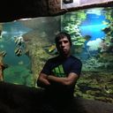  ,   , 38 ,  