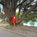 ���������� ������, ���� ������� ��������, 48 ���, ������������ ��� c�������� ���������