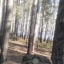 ���������� �������, ���� ������� ���, 38 ���, ������������ ��� ������, ����� � ���������, c�������� ���������