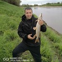 ���������� ������, ���� ������� ������, 53 ����, ������������ ��� ������, ����� � ���������, c�������� ���������