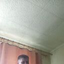 ���������� ������������, ���� ������� ��������, 48 ���, ������������ ��� c�������� ���������