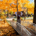 ���������� ������, ���� ������� �����, 41 ���, ������������ ��� ������, ����� � ���������