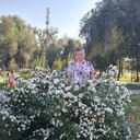  ,   , 42 ,   c , 