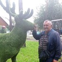 ���������� �����, ���� ������� ����, 55 ���, ������������ ��� c�������� ���������