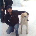 ,   Vitos, 37 ,   