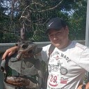 ���������� �������, ���� ������� ���������, 38 ���, ������������ ��� ������, ����� � ���������, c�������� ���������