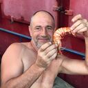  ,   , 55 ,   