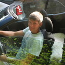 ���������� ���������, ���� ������� ������, 35 ���, ������������ ��� ������, ����� � ���������