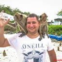 ���������� ����������, ���� ������� �������, 42 ����, ������������ ��� ������, ����� � ���������