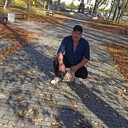  ,   , 53 ,     , c , 