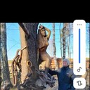 ���������� ���������, ���� ������� ����, 39 ���, ������������ ��� c�������� ���������