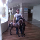  ,   , 43 ,   ,   , c 