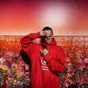 ���������� ������� ��������, ���� ������� ������, 28 ���, ������������ ��� ������, ����� � ���������