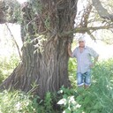 ���������� ������, ���� ������� ������, 62 ����, ������������ ��� ������, ����� � ���������