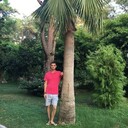 ���������� ����, ���� ������� �����, 35 ���, ������������ ��� ������, ����� � ���������