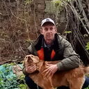 ���������� ������, ���� ������� ����, 61 ���, ������������ ��� ����� � ���������, c�������� ���������