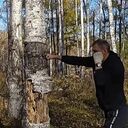 ���������� �����������-��-�����, ���� ������� ����, 37 ���, ������������ ��� c�������� ���������