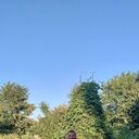   ,   , 46 ,   c 