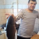 ���������� ��������, ���� ������� ������, 43 ����, ������������ ��� ������, ����� � ���������, c�������� ���������, ���������