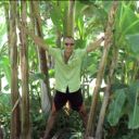 ���������� �����, ���� ������� ����, 43 ����, ������������ ��� ������