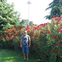 ���������� ������, ���� ������� �����, 31 ���, ������������ ��� ������, ����� � ���������