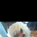 ���������� ���������, ���� ������� ��������, 36 ���, ������������ ��� ������, ����� � ���������, c�������� ���������, ���������