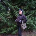  ,   Nata, 50 ,     , c , 
