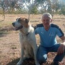  ,   , 72 ,   ,   , c , 