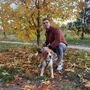 ���������� �����, ���� ������� ���������, 32 ����, ������������ ��� ������, ����� � ���������, c�������� ���������