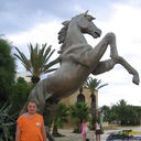 ���������� ������, ���� ������� ���������, 38 ���, ������������ ��� ������