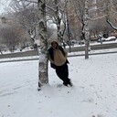 ���������� ������, ���� ������� �����, 37 ���, ������������ ��� ������, ����� � ���������