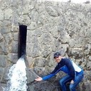 ���������� ������ ���, ���� ������� ����, 43 ����, ������������ ��� ������, ����� � ���������, c�������� ���������