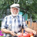  ,   , 82 ,     , c , 