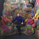 ���������� �������, ���� ������� �����, 38 ���, ������������ 