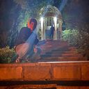 ���������� ���������, ���� ����� ����, 22 ����, ������������ ��� ����� � ���������, c�������� ���������