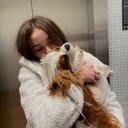 ���������� �������, ���� ������� ������, 23 ����, ������������ ��� ������, ����� � ���������