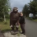  ,   , 37 ,     , c 