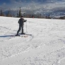 ���������� �����������, ���� ������� ������, 29 ���, ������������ ��� ����� � ���������, c�������� ���������