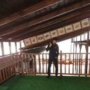 ���������� �������, ���� ������� �����, 29 ���, ������������ ��� ������, ����� � ���������, c�������� ���������, ���������